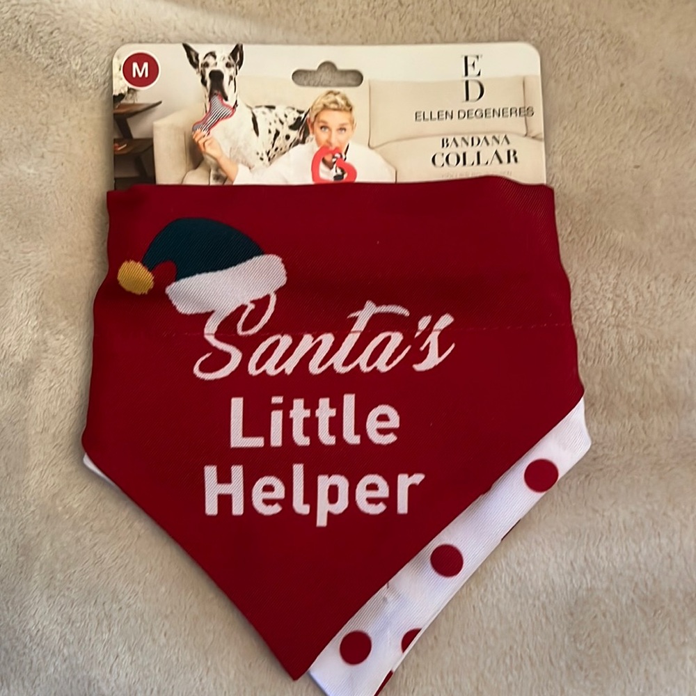 Dog bandana and collar